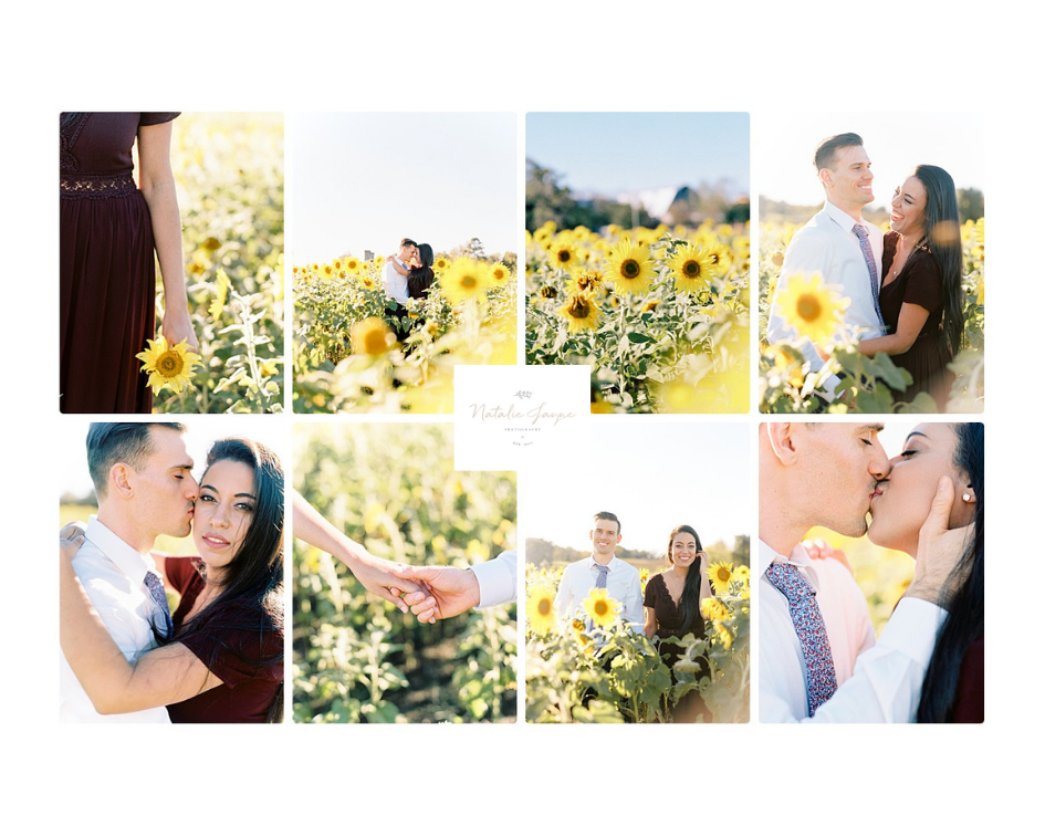Virginia sunflower field anniversary session by natalie jayne photography 
