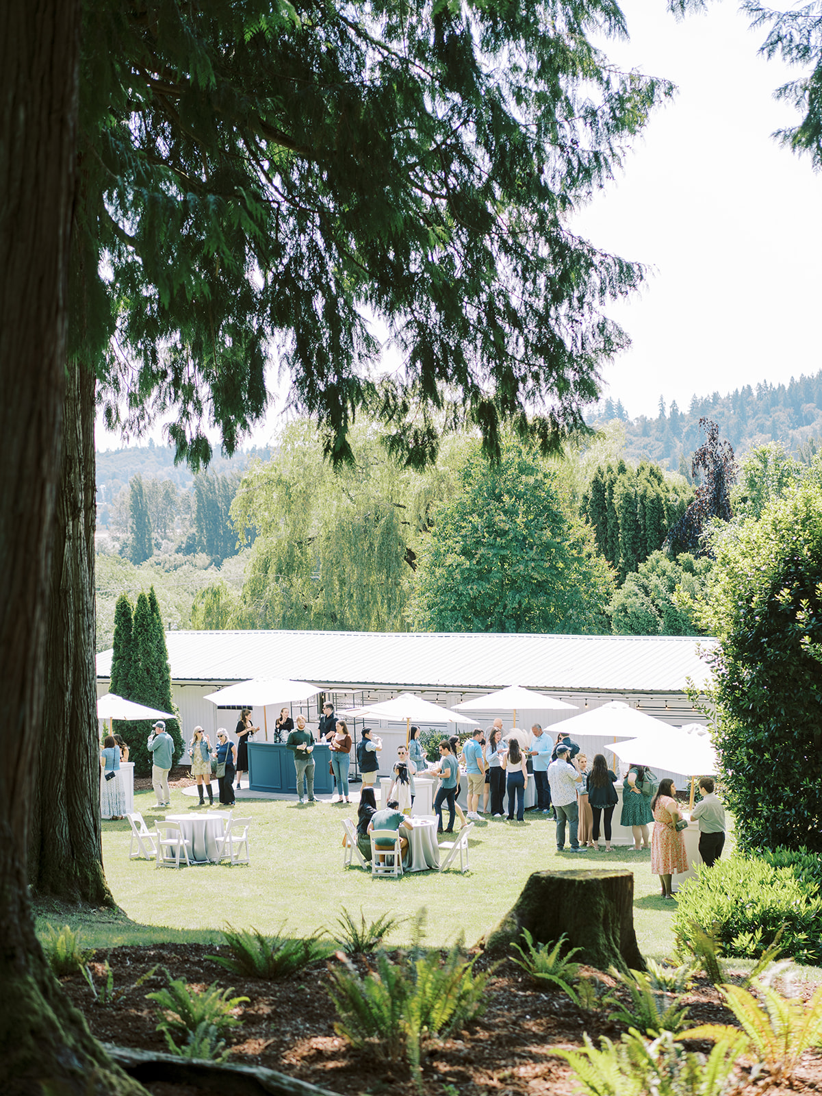 Chateau Lill wedding photographer