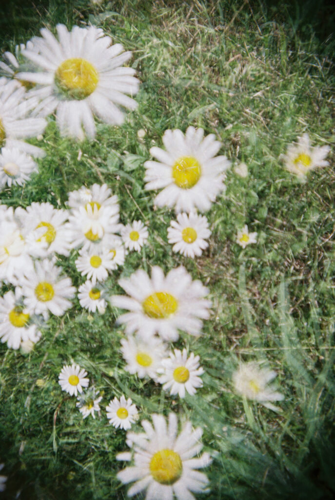 Blogging tool for photographers using Narrative Publish